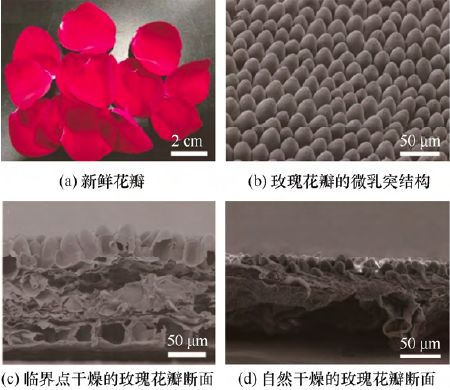 电子材料与元器件制造学什么_电子材料与元器件_电子材料/